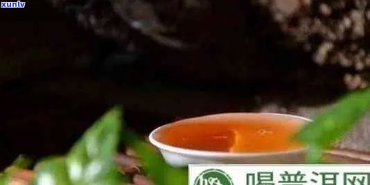 喝普洱茶降血脂吗？女性有效，普洱茶降血脂效果明显。