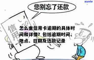 信用卡怎么查询逾期记录及详情