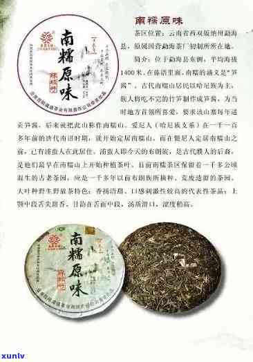 知名普洱茶招商条件