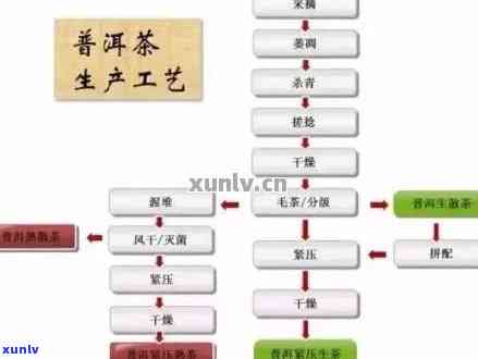 全面解析：如何 *** 加工陕西普洱茶？了解加工流程、品质保障与市场前景