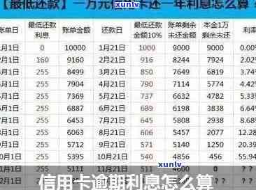 关于信用卡逾期高利息