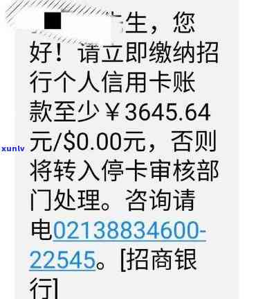 民生信用卡逾期后如何申请停息挂账：一份全面指南，解决您的所有疑虑