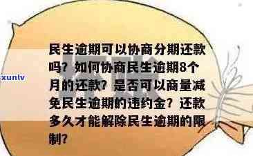 民生银行信用卡逾期还款协商方案：如何申请分期偿还