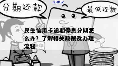 如何全面申请民生信用卡逾期期？了解详细步骤和注意事项