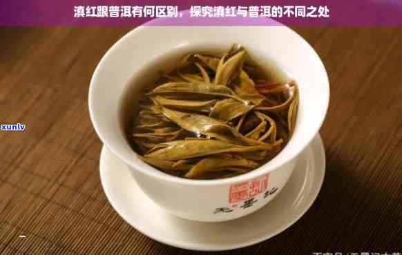 普洱茶与滇红茶：口感、品种与区别的全方位对比分析