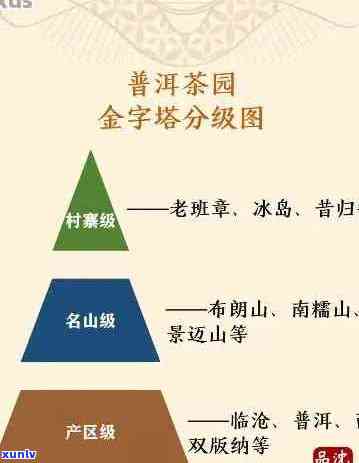 普洱茶的全貌：从种类、产地、 *** 工艺到品饮 *** ，全面了解普洱茶