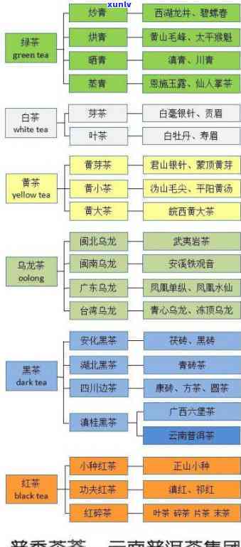 普洱茶的全貌：从种类、产地、 *** 工艺到品饮 *** ，全面了解普洱茶