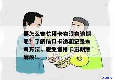 全面掌握高仿信用卡逾期信息查询 *** ，解决用户可能遇到的各种相关问题