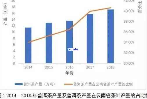 深圳市知名普洱茶加盟公司：茶业投资的新机遇