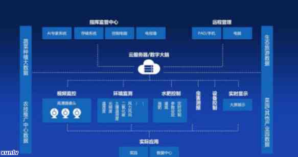 普洱茶产业数字化管理解决方案