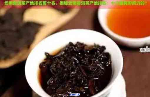 云南普洱茶品种排行榜：十大名茶与特殊口感体验