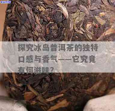 探究冰岛古树普洱茶的独特魅力与口感