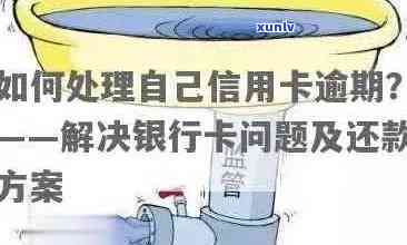 新余市信用卡信用管理咨询热线：逾期还款解决方案与详细信息查询