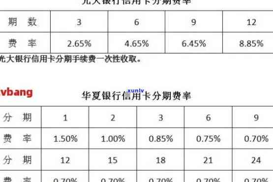 翡翠佛公糯种淡绿宝石的选购、保养与鉴别全攻略