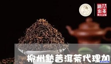 州普洱茶 *** 