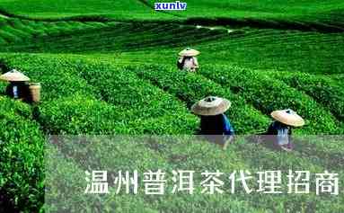 州普洱茶 *** 