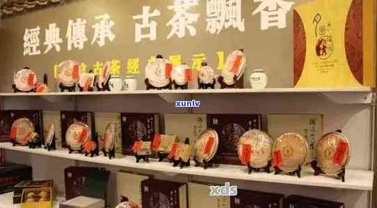 大连普洱茶专卖店：优质普洱茶品种、价格与品鉴体验一站式指南