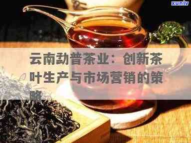 崇普洱茶 *** 销售策略与产品推广