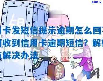 信用卡逾期问题引发的短信群发疑云：真的存在行为吗？