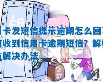 信用卡逾期短信通知：原因、解决办法及如何避免逾期