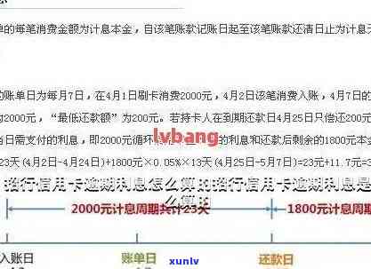 普洱茶减肥效果及其科学原理解析：如何通过饮茶达到减脂肪的目的？