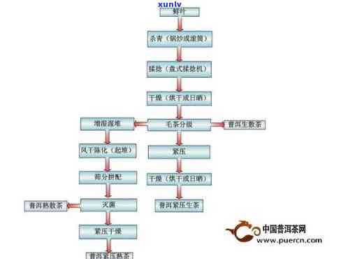 青海普洱茶加盟流程