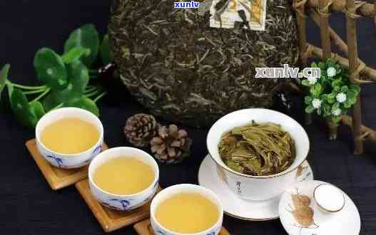 探索普洱茶的健益处：一款全能茶的多面功效解析