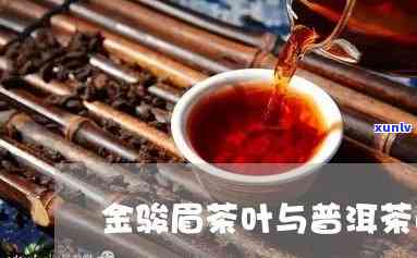 金骏眉与普洱茶的区别：它们是否都属于普洱茶的一种？