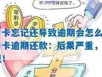 如何解决信用卡逾期记录问题：实用指南与建议