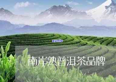 南普洱茶招商