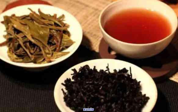 萎缩性胃炎能喝普洱茶吗：熟的、生的还是红茶？