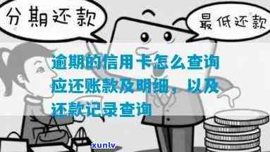 怎么查逾期信用卡账单明细：查询逾期及应还款项 *** 