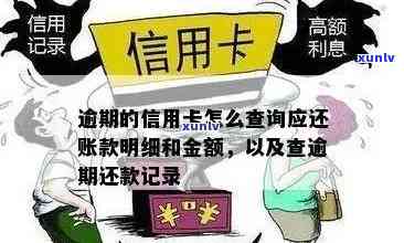 逾期信用卡还款明细查询：如何掌握应还账款全貌