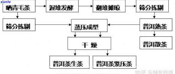 普洱茶的 *** 工艺及其与云雾茶的关系