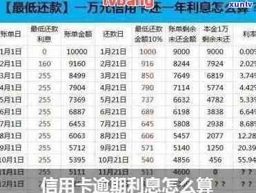 信用卡逾期计算利息公式怎么算：详解步骤与结果