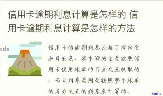 信用卡逾期计算利息公式怎么算：详解步骤与结果