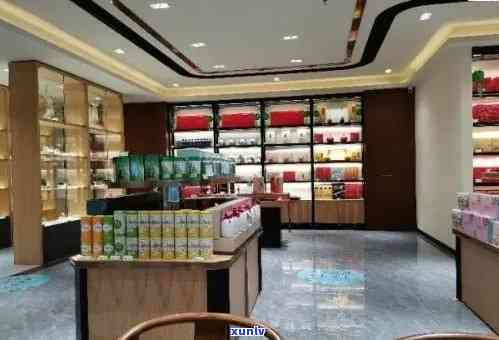 和浩特茶叶店：寻找优质茶叶与茶艺体验的一站式购物与品鉴场所