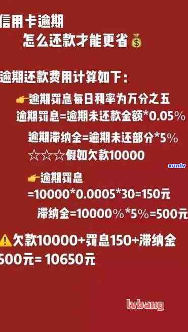 60万信用卡逾期了怎么办？欠款如何偿还？