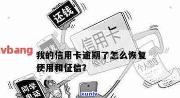 信用卡逾期后如何处理以恢复信用？修复全攻略解析