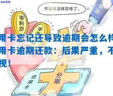 信用卡还款逾期9天：是否会被视为严重逾期？