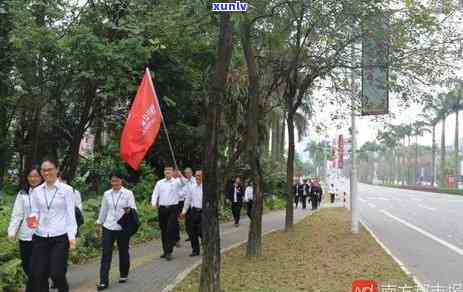 江门普洱茶招商项目：全方位解决方案，助力您的成功之路