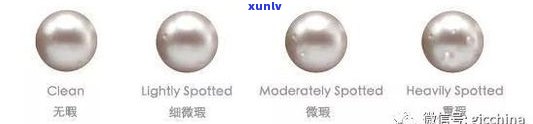 全面解析：母贝、玛瑙与红宝石、白贝的区别