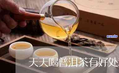 天天喝普洱茶好吗?