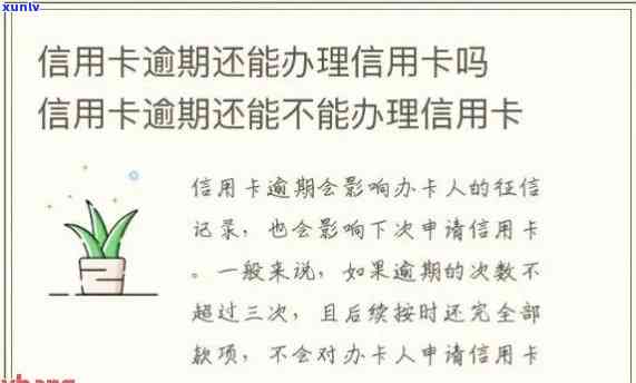 新信用卡逾期还款是否可以追踪手机号码？如何处理逾期还款问题？