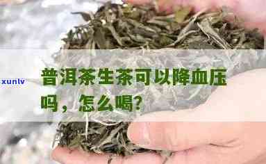 喝普洱茶降血压吗?