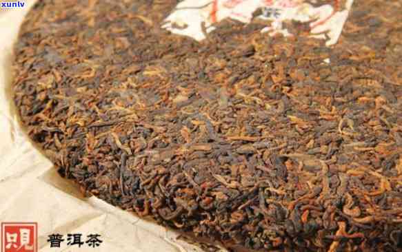 深入了解普洱茶：从熟茶到普洱的全方位解读