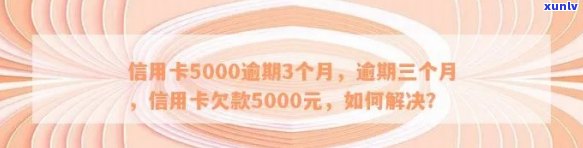 5000元信用卡本金逾期，如何解决还不出的问题？