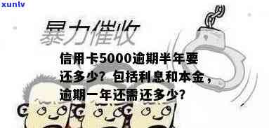 5000元信用卡本金逾期，如何解决还不出的问题？