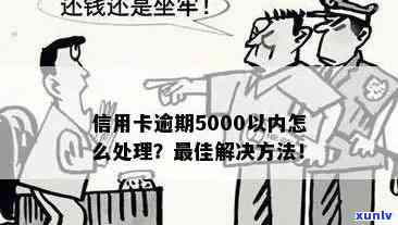 5000元信用卡本金逾期，如何解决还不出的问题？