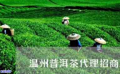 普洱茶饼茶架，茶具收纳架，方便实用！